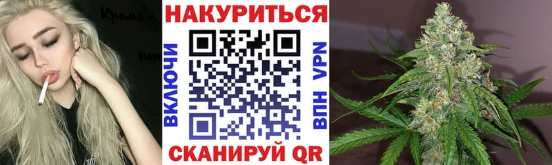 Канабис сатива  Купить где  Алагир 
